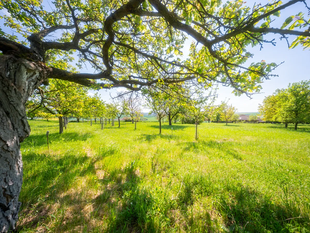 Prodej stavebního pozemku 3623 m²